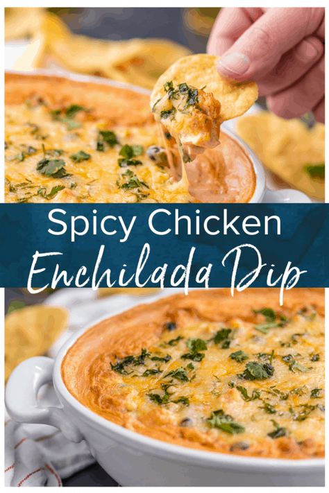 Best Dips Ever, Chicken Enchiladas Dip, Enchiladas Dip, Dipping Recipes, Spicy Chicken Dip, Dip Night, Chocolate And Raspberry Cake, Dip Board, Louisiana Chicken