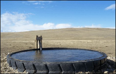 Giant Rubber Water Tanks environmentally friendly process converts tires to cost effective, indestructible water troughs. Livestock Water Trough Ideas, Cattle Water Trough Pool, Cattle Water Trough, Insulated Horse Water Trough, Slimline Water Tank, Water Trough, Large Truck, Coal Mining, Environmentally Friendly