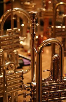 Brass instrument - S Trumpet Aesthetic, Instrument Aesthetic, Brass Instrument, Trumpet Players, Brass Instruments, Dope Music, Woodwind Instruments, Do Re Mi, Recorder Music