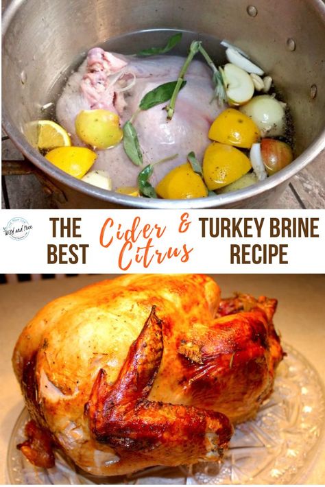 The Best Cider & Citrus Turkey Brine Recipe that you need to use this year. It makes your turkey taste SO good! #brinerecipe #ciderbrinerecipe #turkeybrine Citrus Turkey Brine, Turkey Brining, Smoked Turkey Brine, Easy Turkey Brine, Turkey Brine Recipe, Citrus Turkey, Best Turkey Recipe, Christmas Turkey Recipes, Easy Turkey Recipes