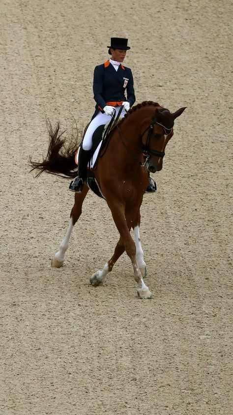 Olympic Equestrian | Paris 2024 Olympics Olympic Horses, Chariot Racing, Ancient Olympic Games, Paris Olympics 2024 India, Paris Olympics 2024 Athletes, Ancient Olympics, Olympic Equestrian, Olimpic Game Paris 2024, Paris Olympics 2024