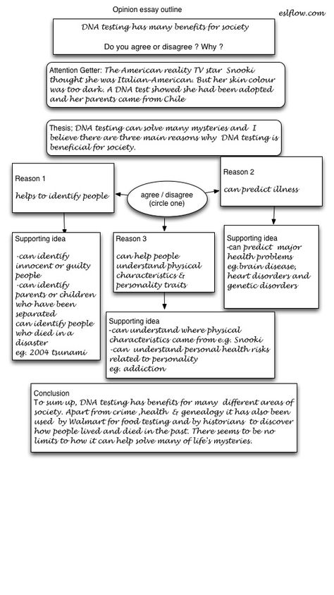 How to make a personal opinion essay Essay Writing Worksheets, Opinion Essay Examples, Model Outline, Outline Essay, Classification Essay, Persuasive Essay Outline, College Essay Tips, Argument Writing, 500 Word Essay