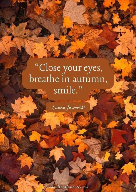 Hello Autumn Quotes, Quotes On Autumn, Autumnal Quotes, Good Morning Autumn, Autumn Text, Laura Jaworski, Seasonal Quotes, Autumn Images, Autumn Poems