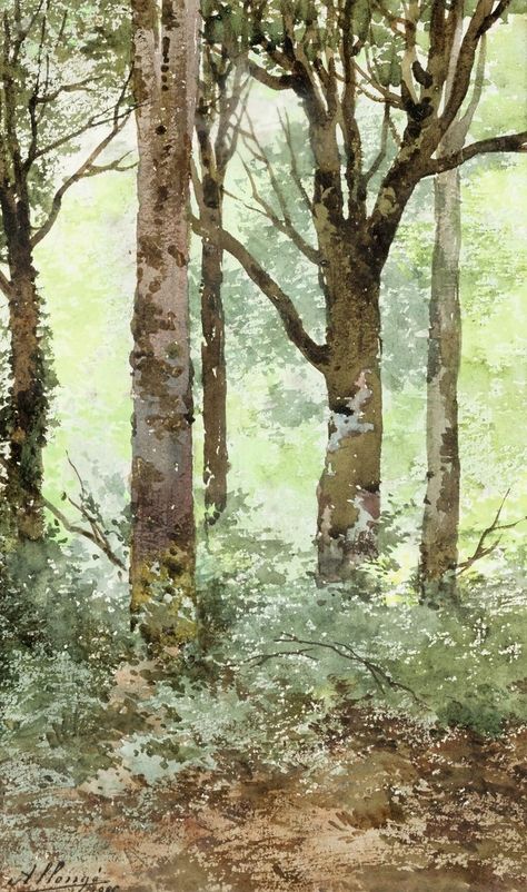 Tree Spirits, Trees Landscape, Watercolor Tree, Landscape Watercolor, Conceptual Illustration, Watercolor Trees, Tree Bark, Landscape Trees, Tree Art