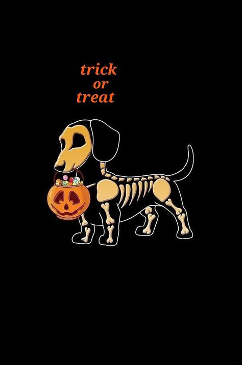 Spooky Dog Wallpaper, Dog Halloween Wallpaper Iphone, Halloween Dachshund Wallpaper, Halloween Dog Art, Halloween Dog Drawing, Skeleton With Dog, Cute Halloween Backgrounds, Halloween Backgrounds Aesthetic, Halloween Backgrounds Wallpapers