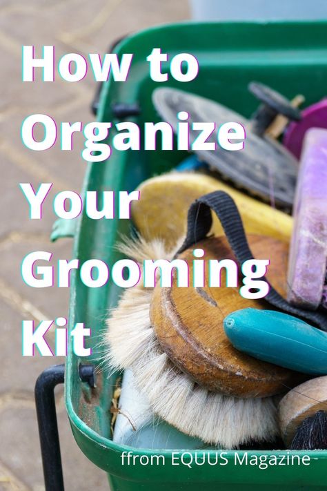 Grooming Boxes For Horses, Horse Grooming Tools, Horse Brush Organization, Barn Organization, Horse Grooming Supplies, Horse Grooming Kit, Grooming Hacks, Horse Brushes, Horse Facts