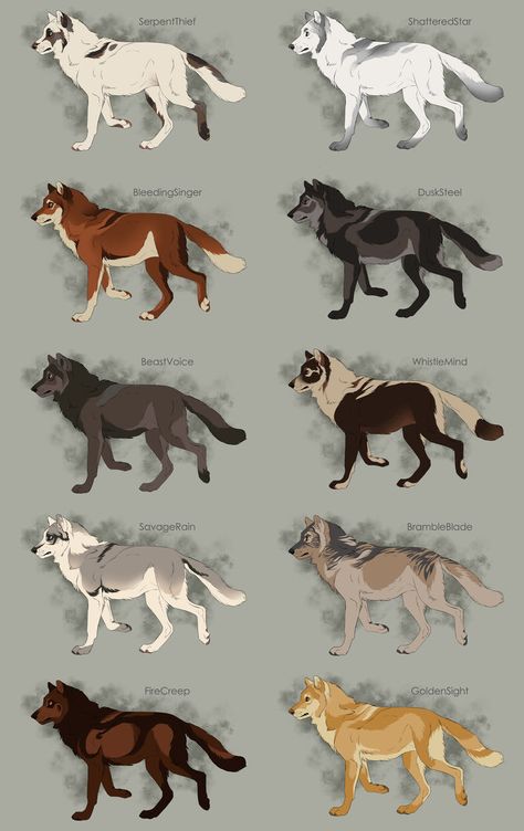 Semi-Realistic Wolf Adoptables Set 6 - CLOSED by Therbis on DeviantArt Wolf Adoptables, Realistic Wolf, Pet Anime, Dog Design Art, Wolf Colors, Canine Drawing, Wolf Character, Semi Realistic, Fantasy Wolf