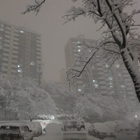 Wallpaper Buildings, Christmas Lights Wallpaper, Lights Aesthetic, Wallpaper Winter, Tall Buildings, I Love Winter, Gray Aesthetic, Winter Wallpaper, Winter Scenery