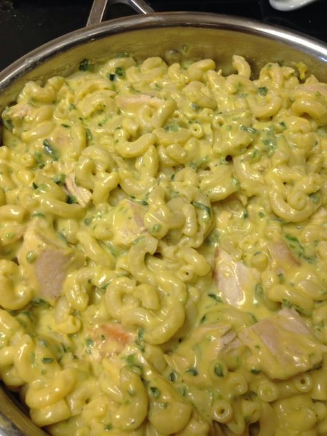 Poblano Mac And Cheese Recipe, Macaroni And Cheese With Chicken, Mac N Cheese Crockpot, Chicken Macaroni And Cheese, Mexican Mac And Cheese, Poblano Chicken, Homemade Macaroni And Cheese, Mac And Cheese Sauce, Chicken Macaroni