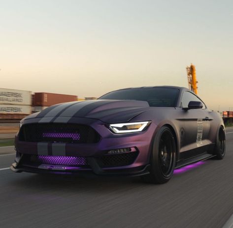 Purple Mustang, Black Mustang, Mustang Wallpaper, Ford Mustang Car, Mustang Fastback, Fancy Cars, Car Ride, Super Luxury Cars, Mustang Cars