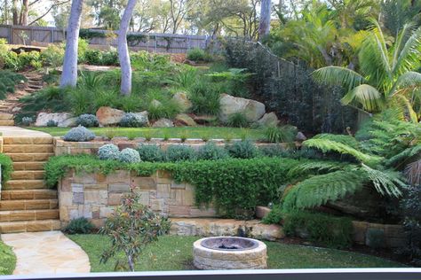 Caringbah South, NSW — SITEDESIGN+STUDIOS | Landscape Architecture Native Landscape Design, Garden Ideas Australia, Australian Garden Design, Sloped Backyard Landscaping, Landscaping A Slope, Large Backyard Landscaping, Australian Native Garden, Sloped Backyard, Front Garden Design