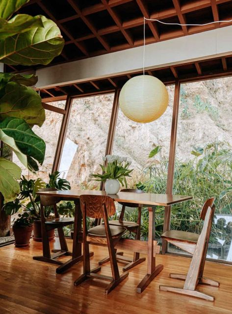 A Quincy Jones, Plant Care Tips, Quincy Jones, Laurel Canyon, Modern Architects, Sneak Peak, Mid Century House, Family House, House Inspo