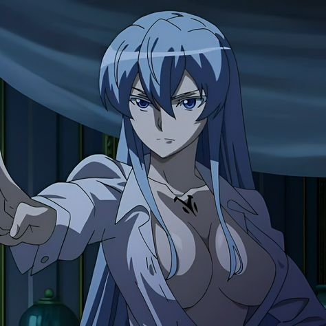 Esdeath Icon, Another Misaki Mei, Cute Fantasy Creatures, Akame Ga, Anime Heaven, Anime Girlxgirl, Anime Background, Manga Girl, Cute Anime Character