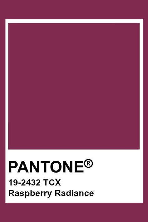 Raspberry Aesthetic Color, Raspberry Color Aesthetic, Pantone Burgundy, Raspberry Color Palette, Pantone Raspberry, Matthew Aesthetic, Raspberry Paint, Tcx Pantone, Purple Pantone