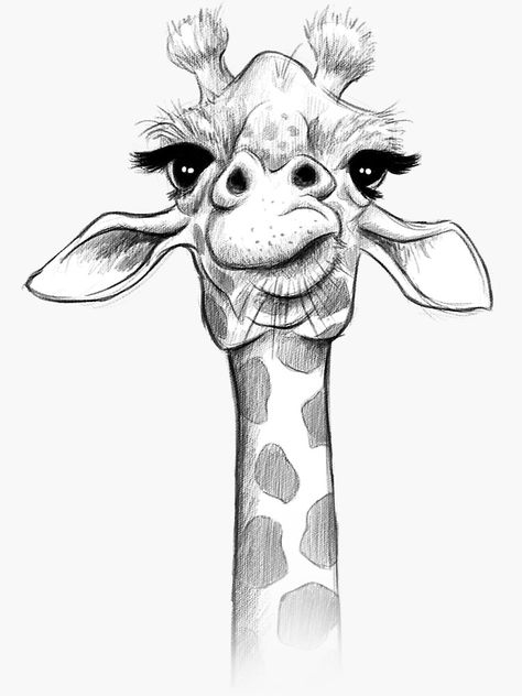 "Sketch Giraffe" Sticker by JonThomson | Redbubble Giraffe Sketch, Giraffe Tattoo, Giraffe Drawing, Animal Drawings Sketches, Giraffe Art, Pencil Art Drawings, Art Drawings Sketches Creative, Animal Sketches, Cute Animal Drawings