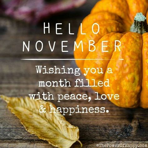 What does November mean for you? For me it's family time, Thanksgiving, pumpkin pie, falling leaves, and big fluffy comforters. :) New Month November, Happy New Month November, Happy New Month Messages, Happy New Month Quotes, November Images, New Month Wishes, New Month Quotes, Welcome November, November Quotes