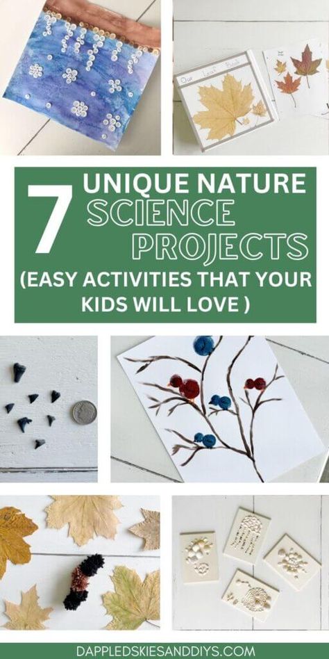 Nature Stem Activities For Kids, Nature Based Activities For Kids, Nature Science Activities, Science Project Ideas, Kids Nature Activities, Outdoor Science, Leaf Book, Nature Science, Nature Projects