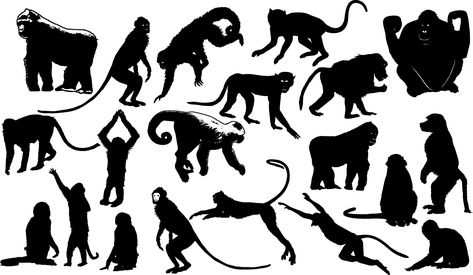 Chimpanzee Silhouette, Wildlife Magazine, Fish Silhouette, Png Logo, Silhouette Png, Free Poster, Baboon, Silhouette Free, Trippy Art