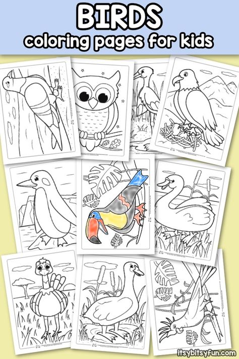 Free Printable Birds Coloring Pages for Kids Birds Coloring Pages Free Printable, Bird Theme Preschool Free Printable, Birds Coloring Pages For Kids, Birds Activities For Kids, Birds Kindergarten Activities, Migration Birds, Bird Activities, Bird Crafts Preschool, Bird Coloring Page