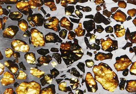 Pallasite meteorite slice Pallasite Meteorite, My Favorite Martian, Space Astronomy, Volcanic Rock, Rocks And Gems, Space And Astronomy, The Martian, Gems Jewelry, Crystals Minerals