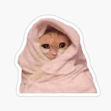 Crying cat in a blanket sticker on redbubble #cat #meme #catmeme Cat In A Blanket, Meme Chat, Weird Stickers, Laptop Case Stickers, Sticker Design Inspiration, Iphone Stickers, Homemade Stickers, Cute Laptop Stickers, Cat Meme