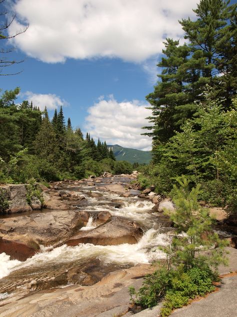 Northern Maine Maine Forest, Northern Maine, Country Life, Summer Camp, Mother Earth, The Great Outdoors, Places Ive Been, The Good Place, Maine