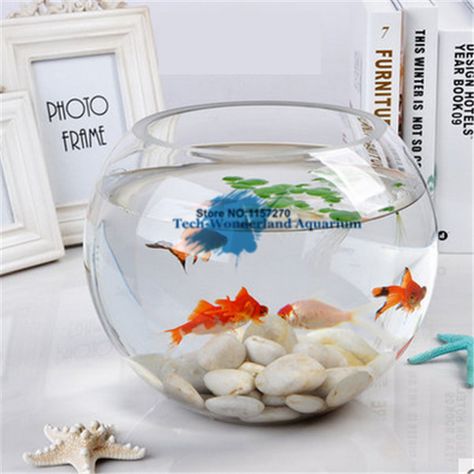 15*12.5CM Glass Aquarium Fishbowl For Fish Flower Plants Aquarium Home Decoration Ball Fish Tank Round Fishbowl Decoration Ideas, Fish Bowl Decorations, Round Fish Tank, Aquarium Home, 10 Gallon Fish Tank, Aquarium Craft, Fish Tank Themes, Plants Aquarium, Goldfish Bowl