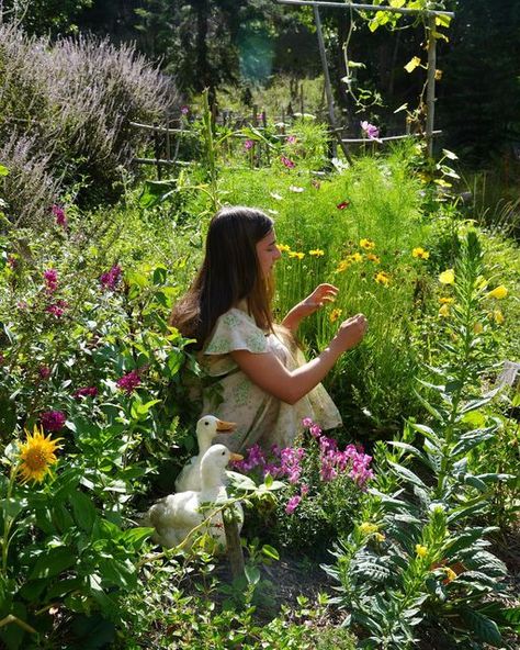 March Aesthetic, Meg March, Old Sewing Machine, Mountain Farm, Romantic Surprise, Quiet Life, Garden Girls, Younger Sister, Cottagecore Aesthetic