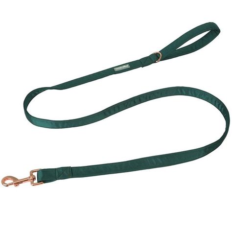 Lionet Paws Dog Leash Matching Green Dog Collar, Dog Leashes, Pet Leashes, Girl And Boy, Dog Flower, Green Brands, Pet Care Tips, Rose Gold Metal, Dog Bowtie