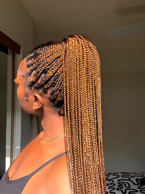 Small Knotless Box Braids Long Color 30, Knotless Box Braids Two Toned, Ginger Brown Knotless Box Braids, Knotless Light Brown Box Braids, Color 27/30 Knotless Braids, Cute Box Braids With Color, Shades Of Brown Knotless Braids, Brown Small Box Braids, Chestnut Braids On Black Women