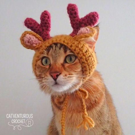 Available at Catventurous Crochet on YouTube. Catventurous Crochet: Simple and fun crochet patterns for #fashionablycatventurous kitties. @catventurous.crochet Supermeowdel: Melba @catventurepussmelba linktr.ee/catventurous.com Cat Christmas Costumes, Cat Hat Crochet, Cat Christmas Hat, Fun Crochet Patterns, Crochet Hats For Boys, Crochet Christmas Hats, Crochet Cat Hat, Hello Kitty Crochet, Knit Toys