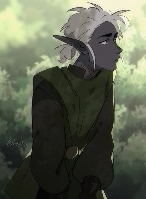 Drow Male, Dnd Elves, Elf Characters, Dnd Races, Tip Jar, Elf Art, Character Collection, Dungeons And Dragons Characters, Dnd Art