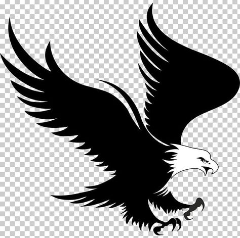 Eagles Logo, Bird Png, Eagle Png, Editing Logo, Birds Png, Bald Eagle Line Art, Egal Bird Png, Eagle Icon Logo, Bird Png Logo