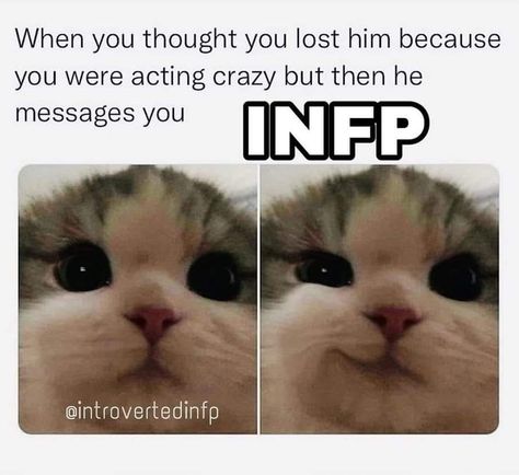 Intj X Infp Love, Infp Humor, Infp Mood, Zombie Hoard, Infp Core, Infp Things, Infp Problems, Infp Enfj, Infp T Personality