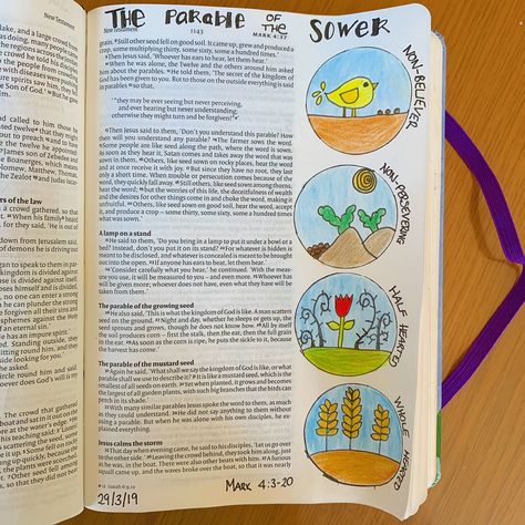 Parable of the Sewer #bible #biblejournaling #biblejournalingcommunity #illustratedfaith Mark 4 Bible Journaling, The Parable Of The Sower, Parable Of The Sower, Matthew Bible, Parable Of The Talents, Book Drawings, Bible Doodles, Journaling Printables, Bible Journaling Printables