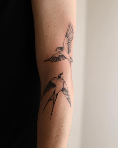 Maxime Dubbeld | Swallows for Max. Thanks for trusting me with your first tattoos🙏 I would love to tattoo more animals in this style, so if you have… | Instagram Swallow With Olive Branch Tattoo, Swallow Tattoo Arm Woman, Swallow Bird Tattoo Fine Line, Tree Swallow Tattoo, Bird Tattoo Arm Women, Swallow Forearm Tattoo, Swallow Tattoo Arm, Bird Tattoo On Arm, Two Swallows Tattoo