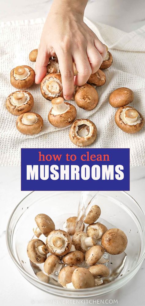 steps showing how to clean mushrooms with water How To Wash Mushrooms, How To Clean Mushrooms, Crimini Mushrooms, Shitake Mushroom, Cremini Mushrooms, Salad Spinner, White Mushrooms, Porcini Mushrooms, Portobello Mushroom