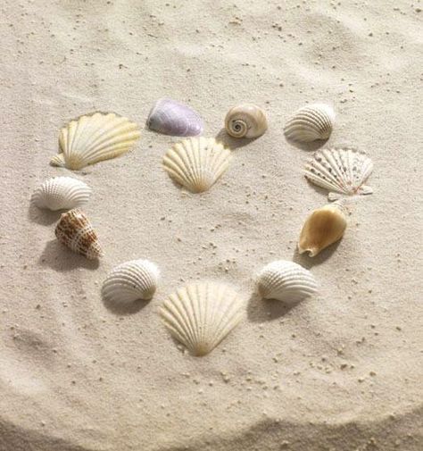 . Mermaid Aesthetic, She Sells Seashells, I Love The Beach, Holiday Vacation, Summer Dream, Vacation Beach, Girl Mom, Beach Aesthetic, Pics Art