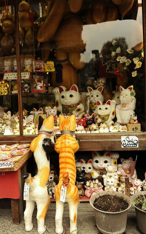 Japanese Fortune, Urahara Kisuke, All About Japan, Fortune Cat, Turning Japanese, Cat Figurines, Go To Japan, Souvenir Shop, Art Japonais