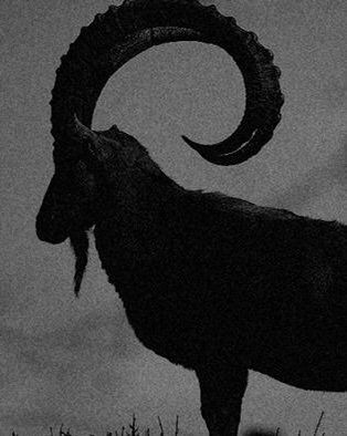 Elemental Invocation | Wiki | Pagans & Witches Amino The Vvitch, Black Phillip, The Arcana, The Ram, Occult Art, A Goat, Witch Aesthetic, The Witch, Horror Art