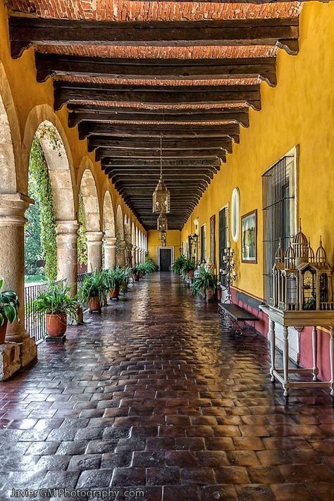 Style Hacienda, Mexican Style Homes, Patterned Concrete, Hacienda Homes, Spanish Style Architecture, Mexican Hacienda, Hacienda Style Homes, Mexico House, Bohemian Life