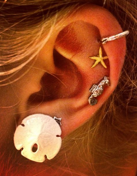 beach themed ear with sand dollar, seahorse, and starfish Beachy Ear Piercings, Beach Piercings, Mermaid Piercing, Cute Cartilage Earrings, Earrings Piercings, Beachy Earrings, Cute Ear Piercings, Mermaid Earrings, Jewelry Tattoo