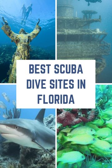 Best Scuba Dive Sites in Florida Florida Scuba Diving, Scuba Diving Florida, Scuba Diving Bucket List, Apopka Florida, Biscayne National Park, Islamorada Florida, Marine Science, Dive Resort, Best Scuba Diving