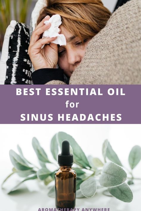 Learn more about the best essential oils for sinus headaches and how to use them Relieve Sinus Headache, Peppermint Oil For Headaches, Fall Wellness, Oils For Headaches, Sinus Headache Relief, Headache Relief Essential Oils, Oil For Headache, Oils For Sinus, Roman Chamomile Essential Oil