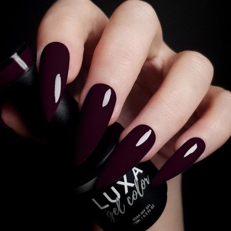 Burgundy And Black Nails Acrylic, Purple Stiletto Nails, Maroon Nail Designs, Box Background, Fall Nail Trends, Gothic Nails, Grunge Nails, Nail Essentials, Thanksgiving Nails