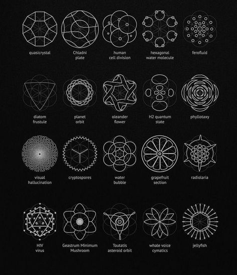 Sacred Geometry. source: chaosophia218 Esoteric Symbols Sacred Geometry, Occult Design, Science Inspiration, Scared Geometry, Environmental Architecture, Geometry Symbols, Esoteric Symbols, Geometry In Nature, Sacred Geometry Patterns