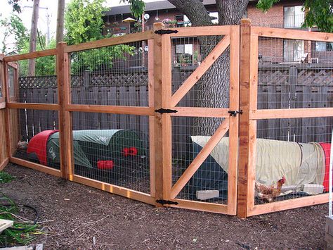 Fencing for Chicken Run | The secure run where the chickens live inside their Eglus. Inside Chicken Coop, Chicken Pens, Chicken Fence, Mobile Chicken Coop, City Chicken, Easy Chicken Coop, Portable Chicken Coop, Chicken Pen, Chicken Coup