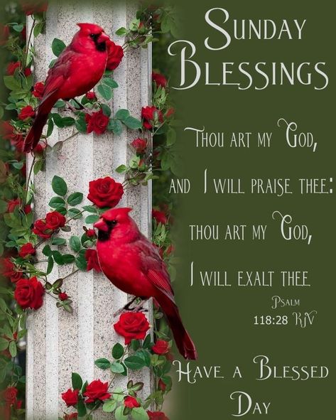 Sunday Bible Verse, Sunday Greetings, Sunday Blessings, Morning Prayer Quotes, Beautiful Sunday, Blessed Sunday, Happy Sunday Quotes, Good Morning Life Quotes, Book Of Psalms