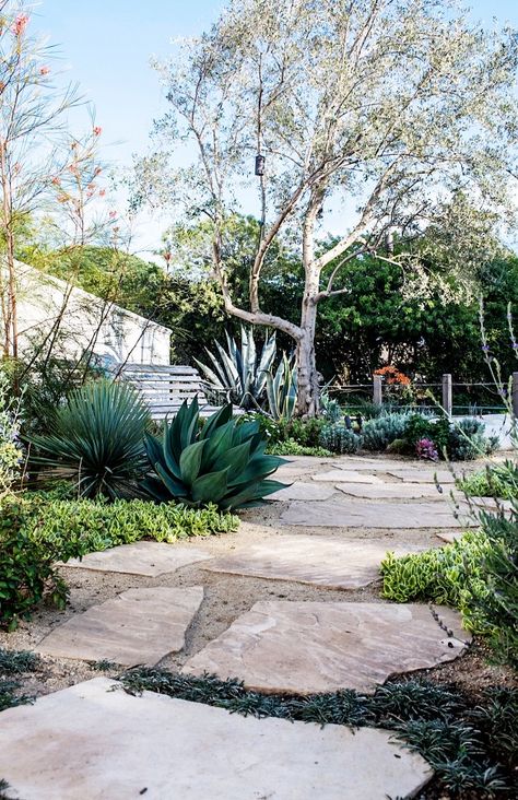 Stone path in a drought-friendly garden Gravel Landscaping, Walkway Landscaping, Wildlife Garden, Dry Garden, Australian Garden, Garden Walkway, Desert Garden, Large Backyard, Woodland Hills