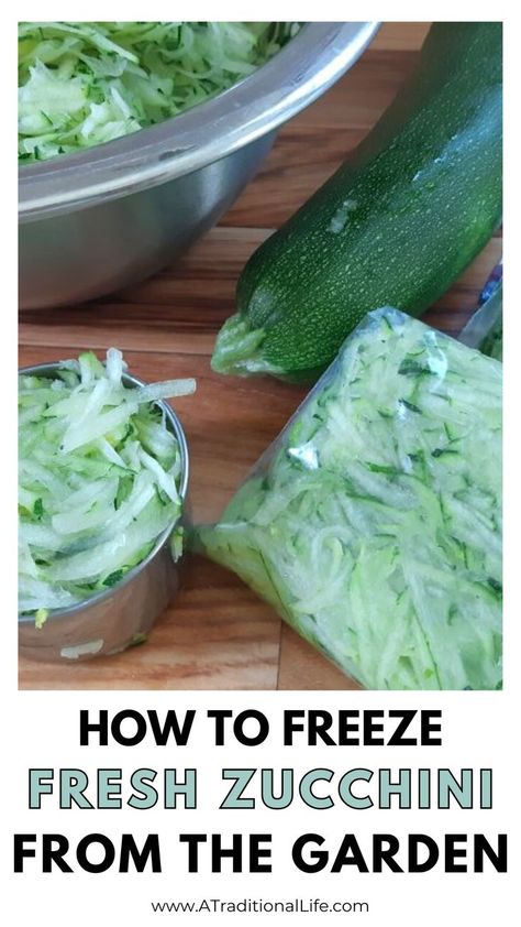 How to Freeze Fresh Zucchini from the Garden Can You Freeze Zucchini, Preserving Zucchini, Homemade Tomato Pasta Sauce, Zucchini Cups, Banana Zucchini Muffins, Zucchini Pickles, Freezing Zucchini, Cream Of Potato Soup, Winter Baking